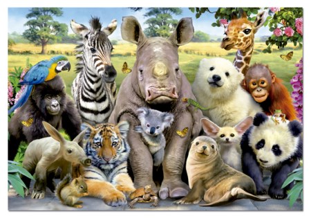 Class Photo