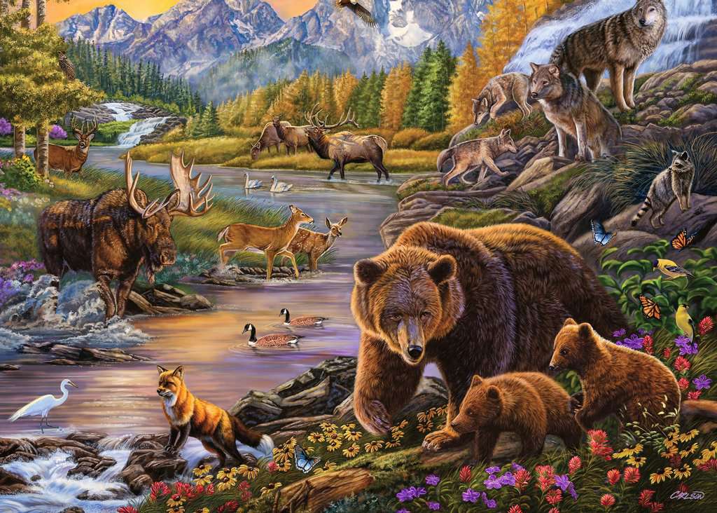 Ravensburger Wilderness (500 Large)