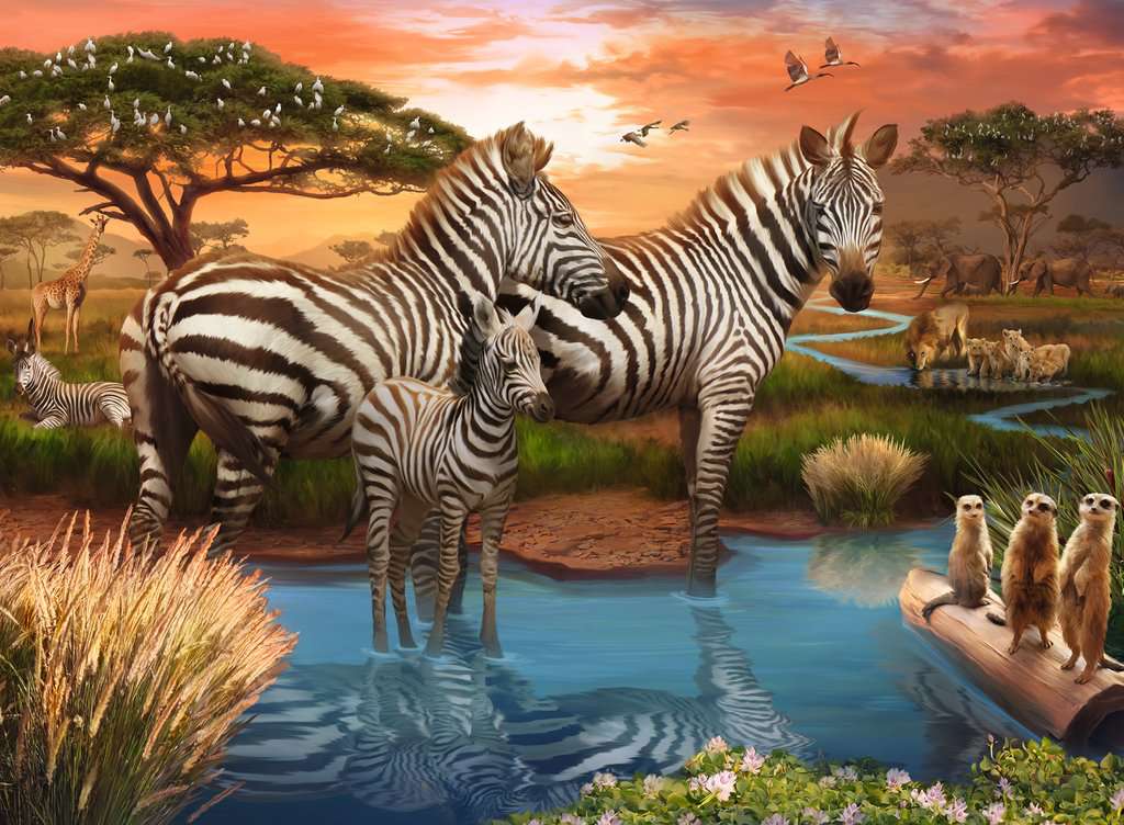 Ravensburger Zebras at Waterhole (500pcs)