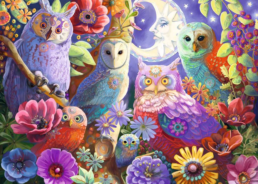 DMG Ravensburger Night Owl Hoot (300pcs) (boîte endommagée)
