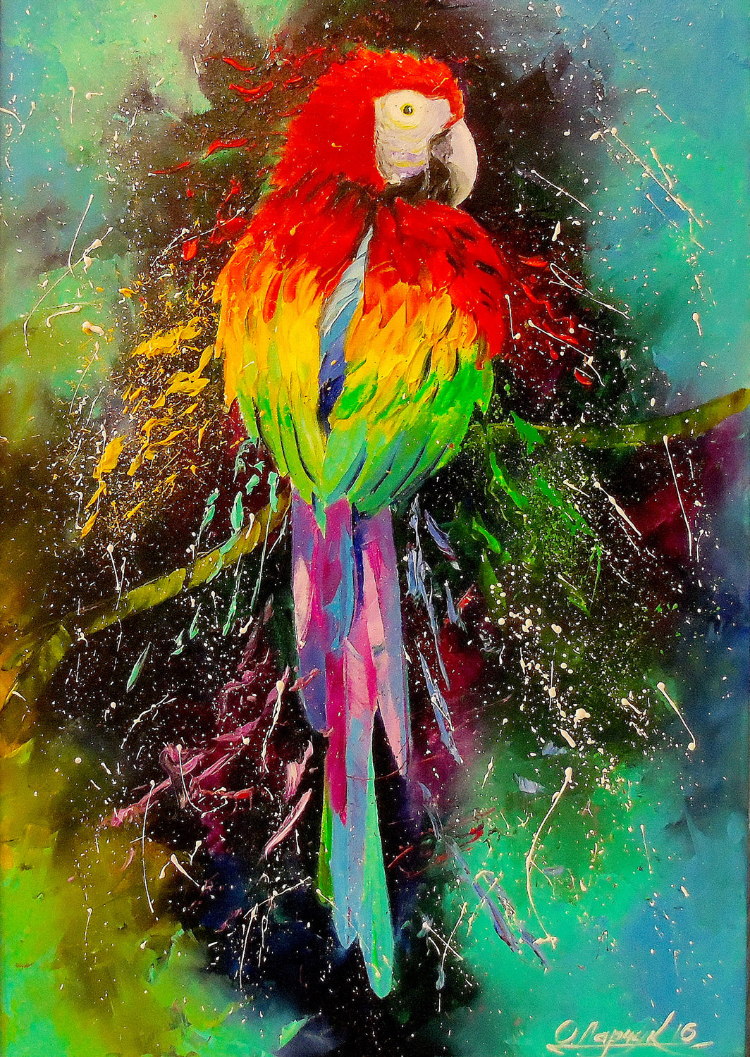 Perroquet coloré (1000pcs)