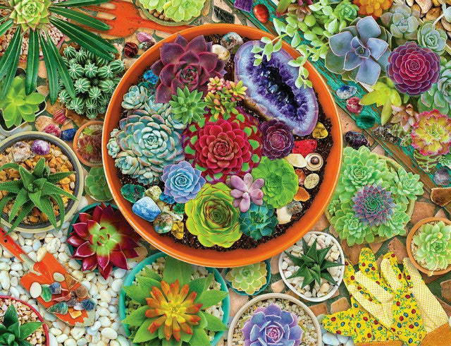 Succulent Garden (500pcs)