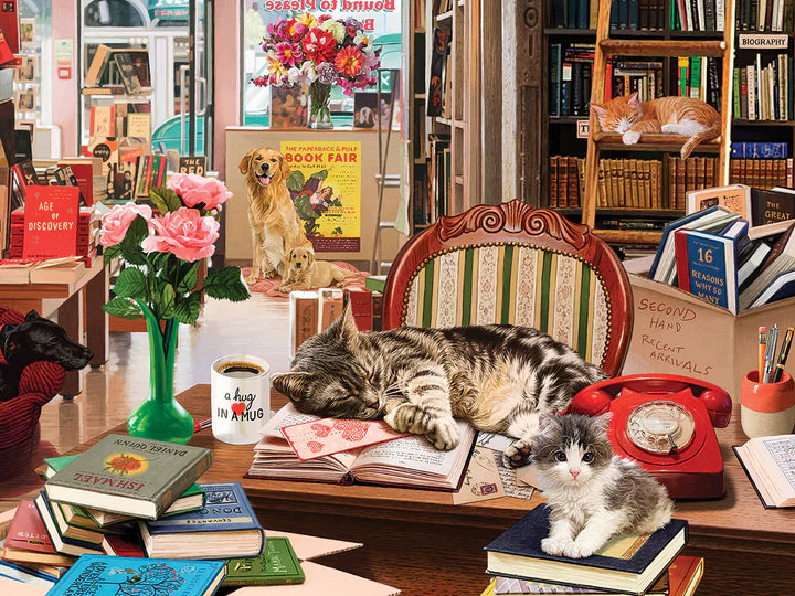 Librairie confortable, Steve Read (500pcs)