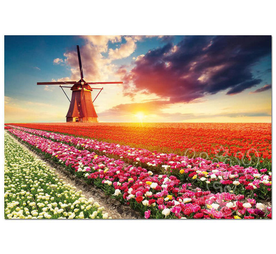 Tulips Landscape (1500pcs)
