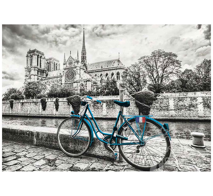 B&W Bike near Notre Dame