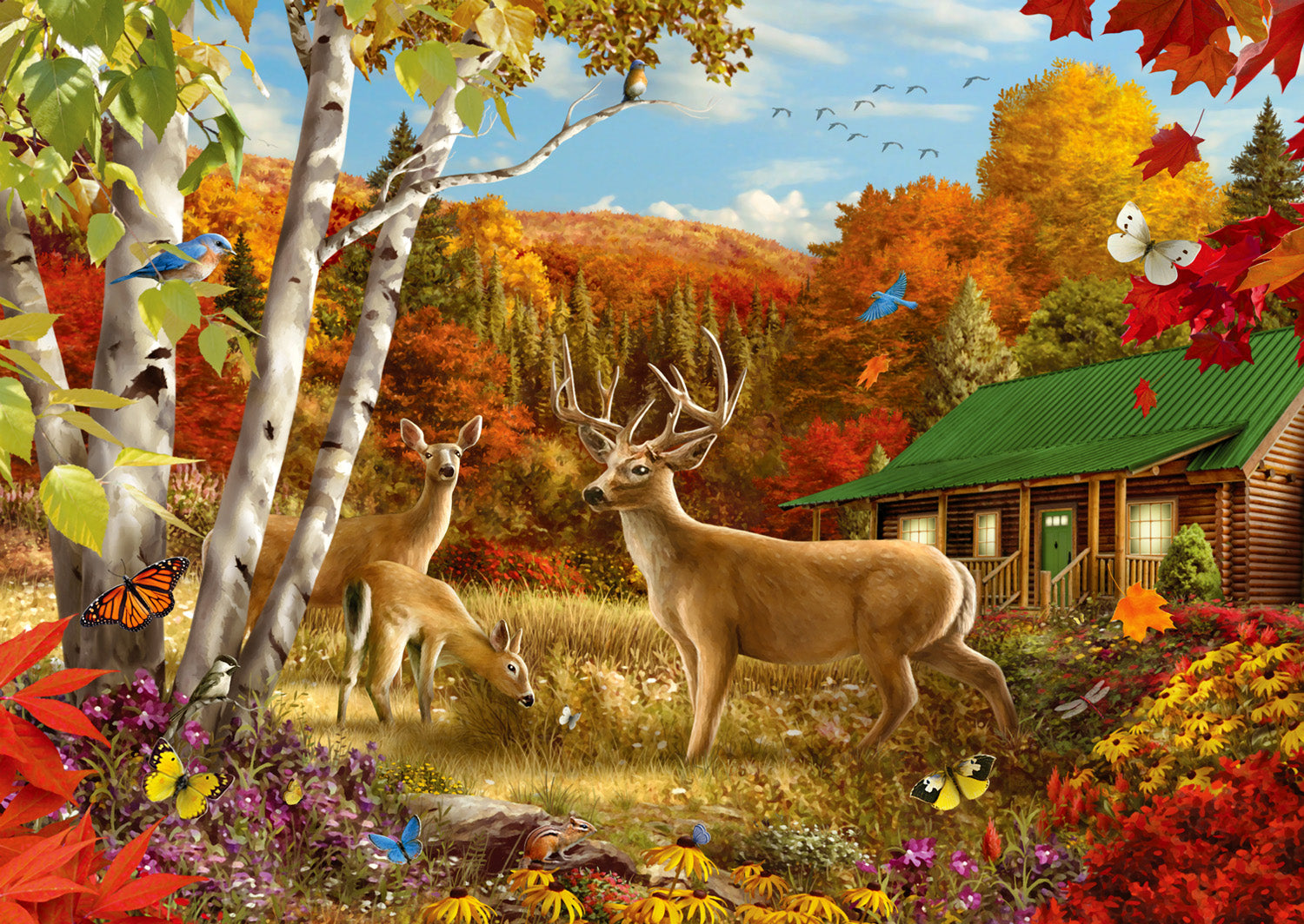 Enjoy- Somewhere in a Field, Alan Giana (1000pcs)