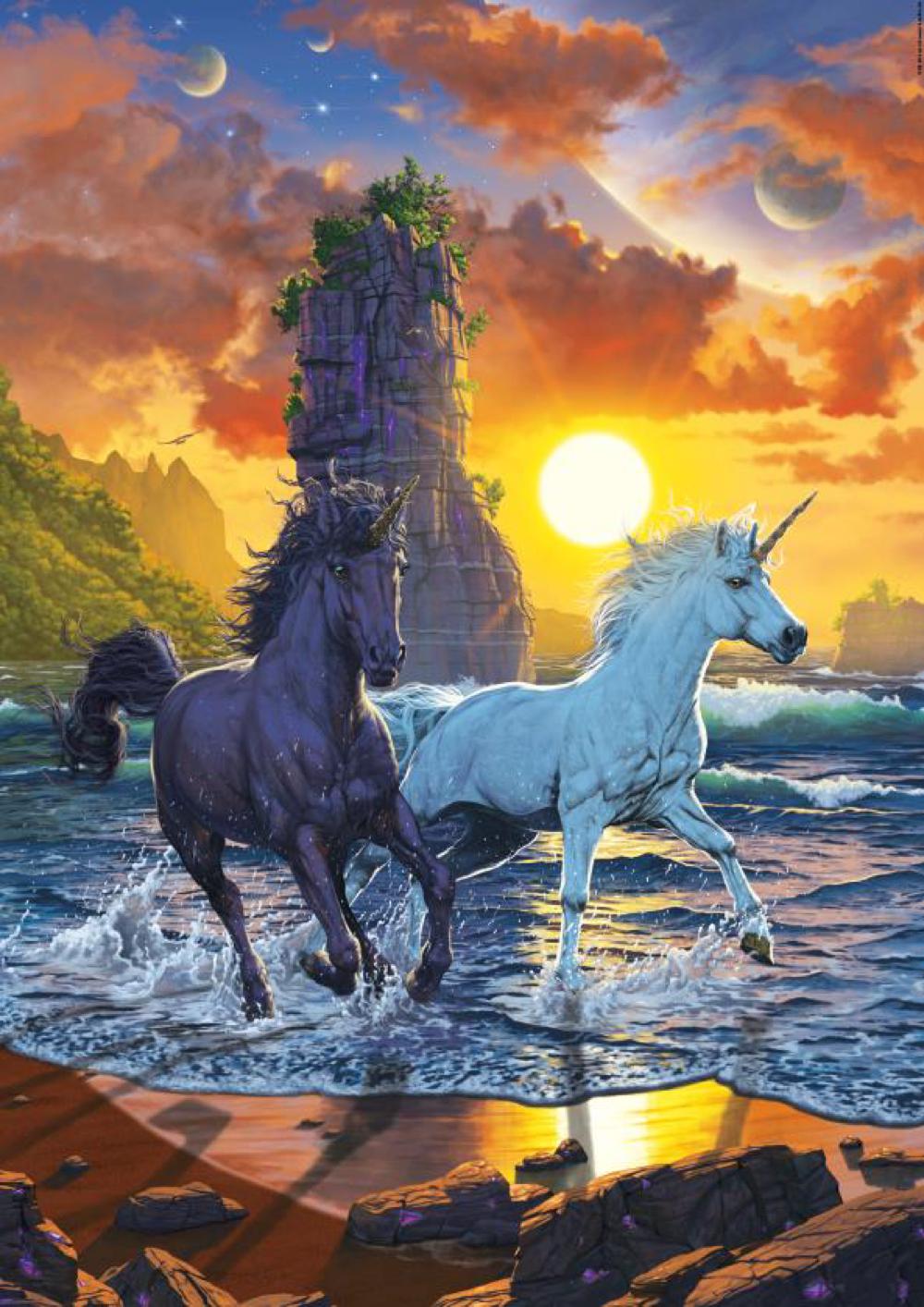 Unicorns On A Beach, Vincent Hie