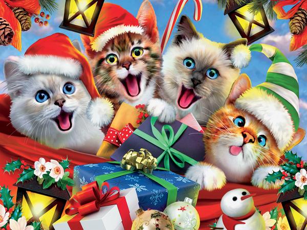 Selfies Noël - chats en chapeaux selfie