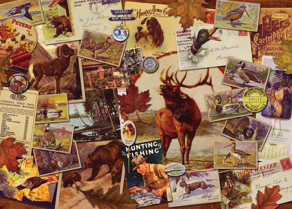 Lodge rustique - Sportsman