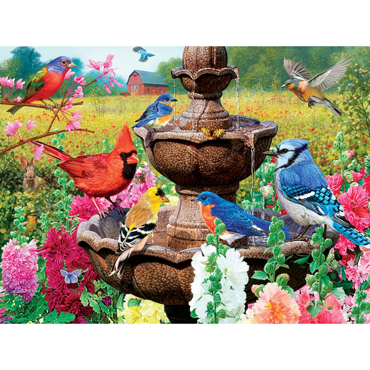 Jardin de la chanson, Steve Read