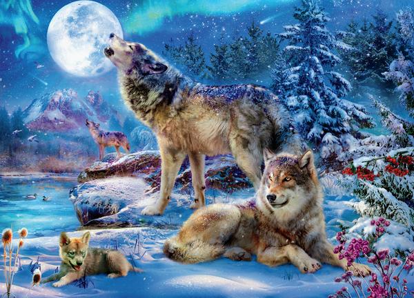 Wolves - Famille de loup d'hiver