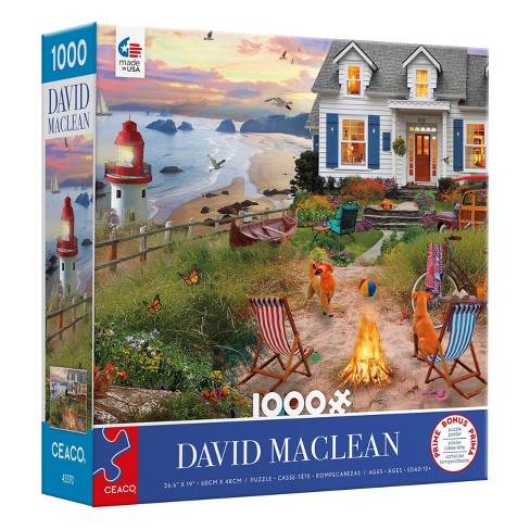 Ocean Playground, David MacLean