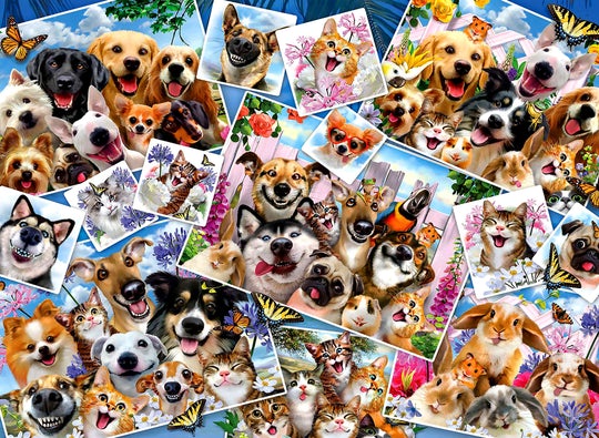 Selfie Pet Collage, Howard Robinson (2000pcs)