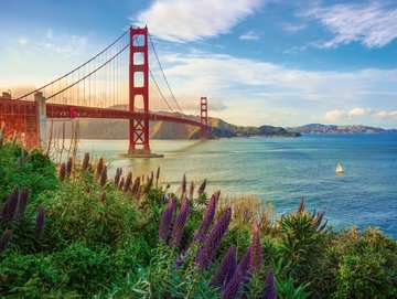 PFG Ravensburger L'Aube sur le Golden Gate de Susan Taylor (Usage/Utilisé _ PUZZLES FOR GOOD)