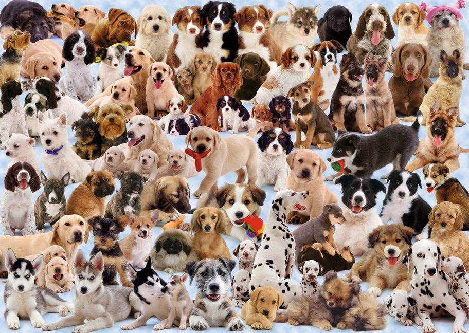 Des chiens de Ravensburger à gogo!