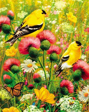 Goldfinch - Puzzles-to-Remember