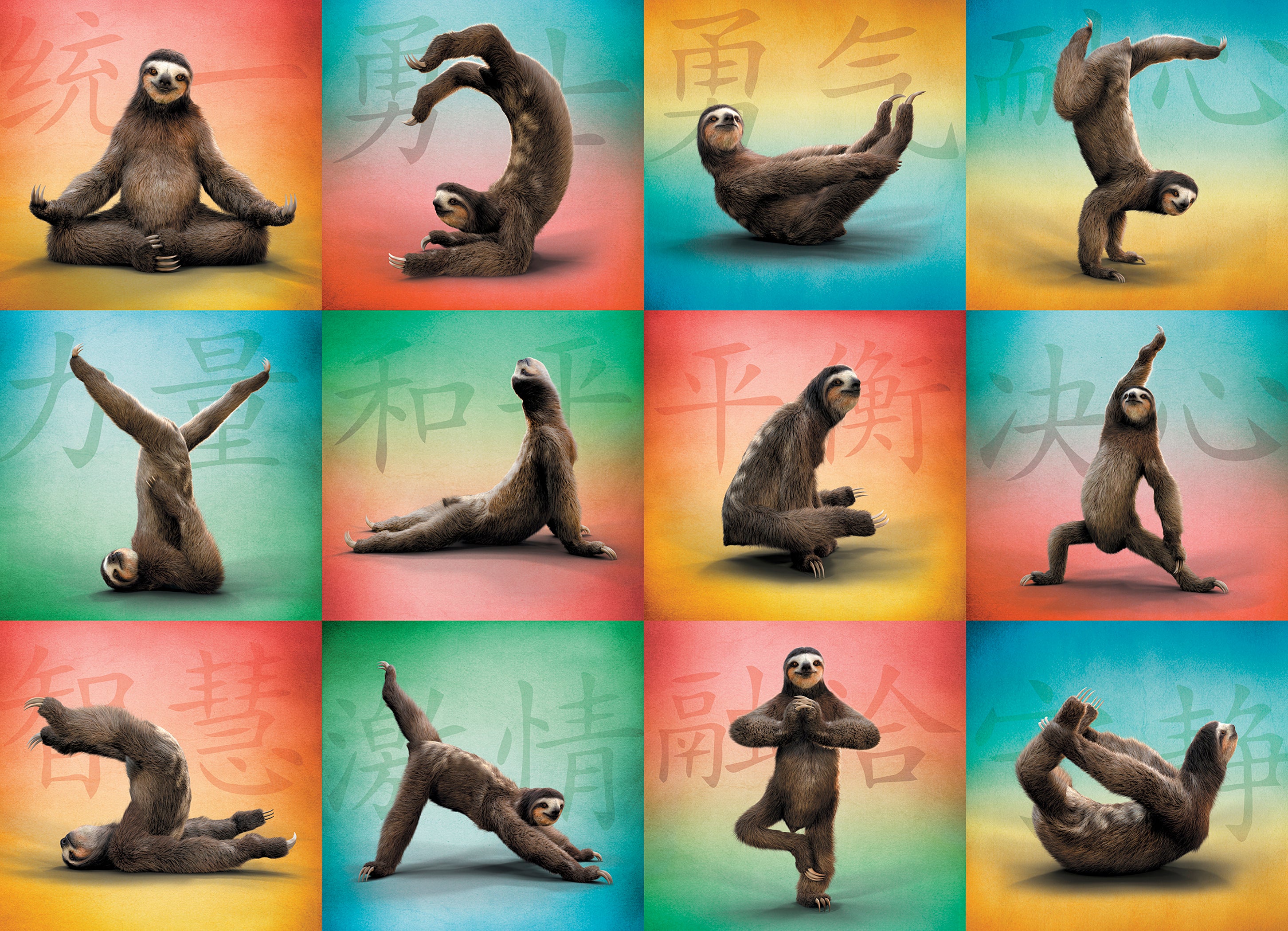 Yoga paresseux (1000pcs)