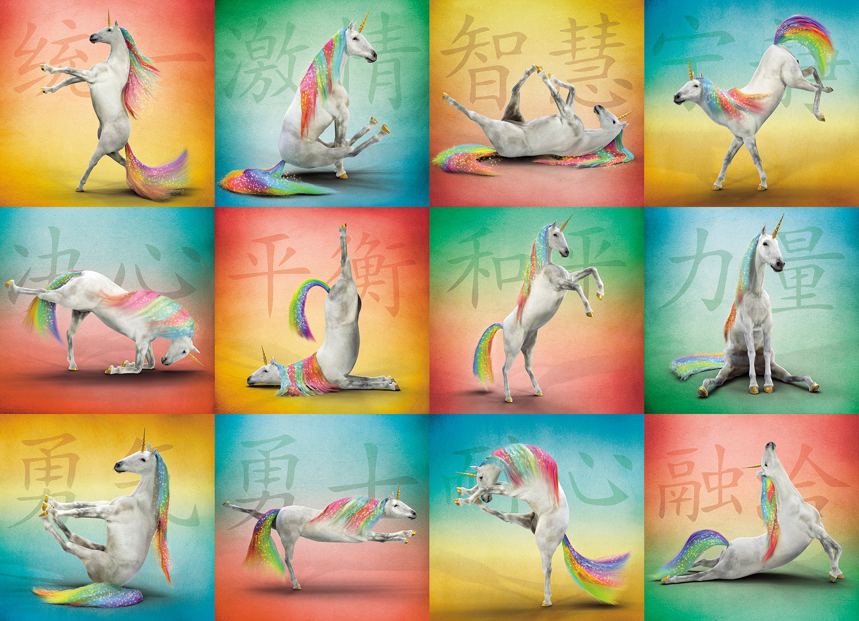 PFG Unicorn Yoga (1000pcs) (Usage/Used - PUZZLES FOR GOOD)