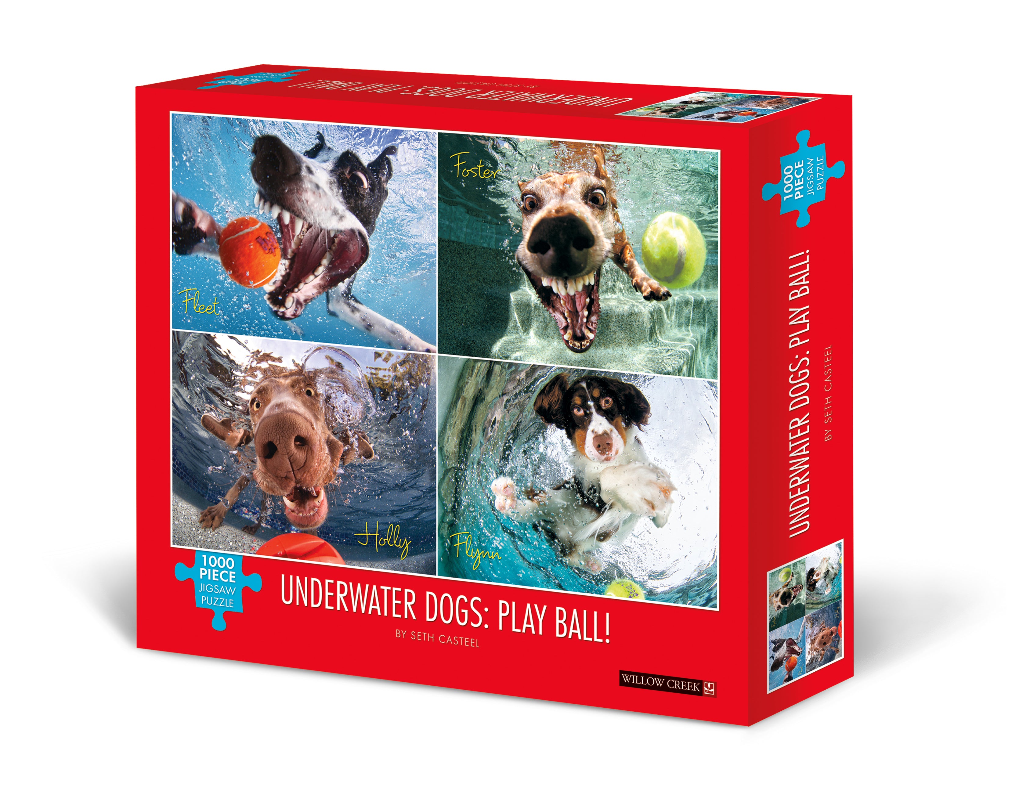 Chiens sous-marins: jouer au ballon (1000pcs)