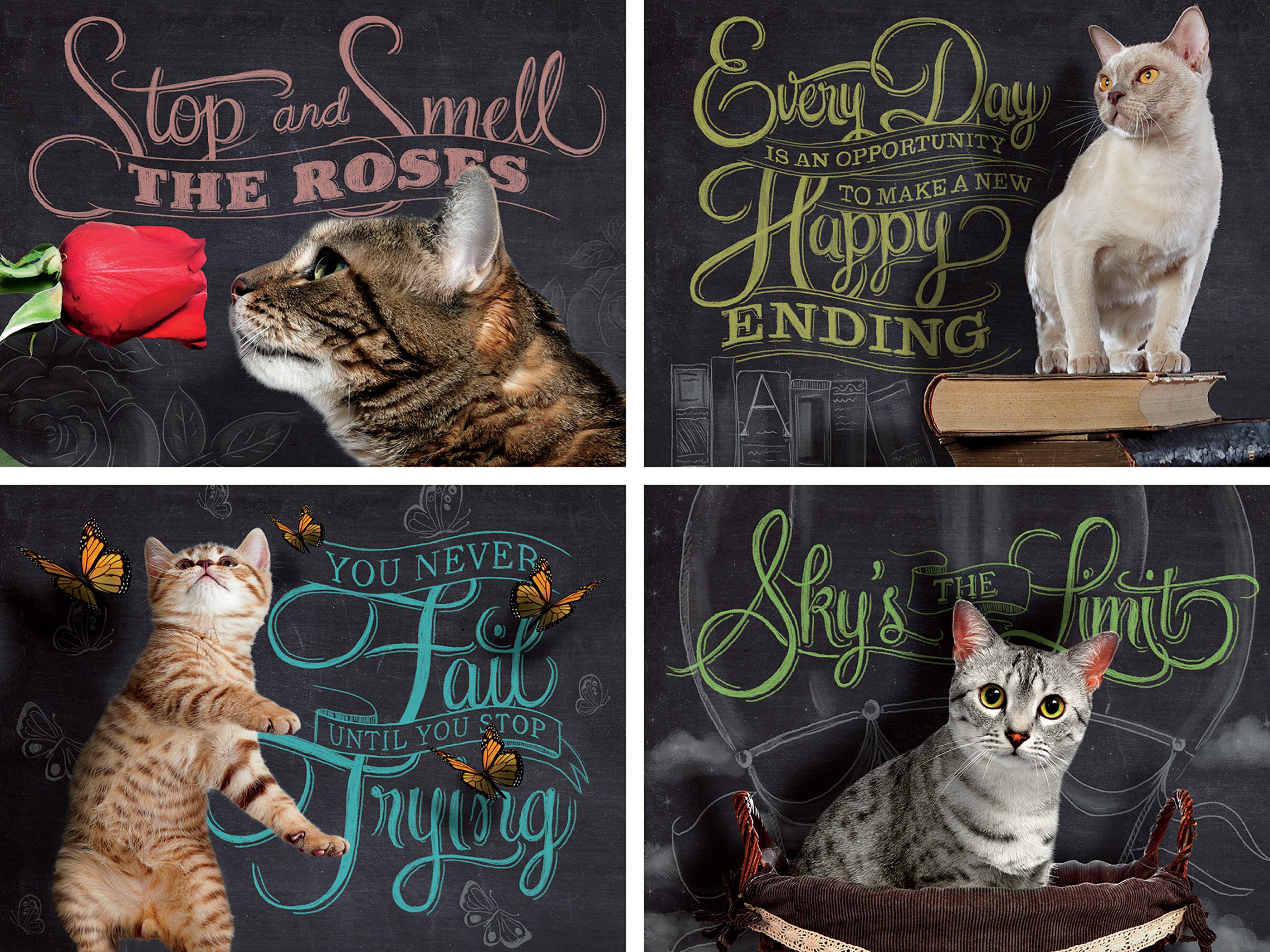 Catspirations (500pcs)