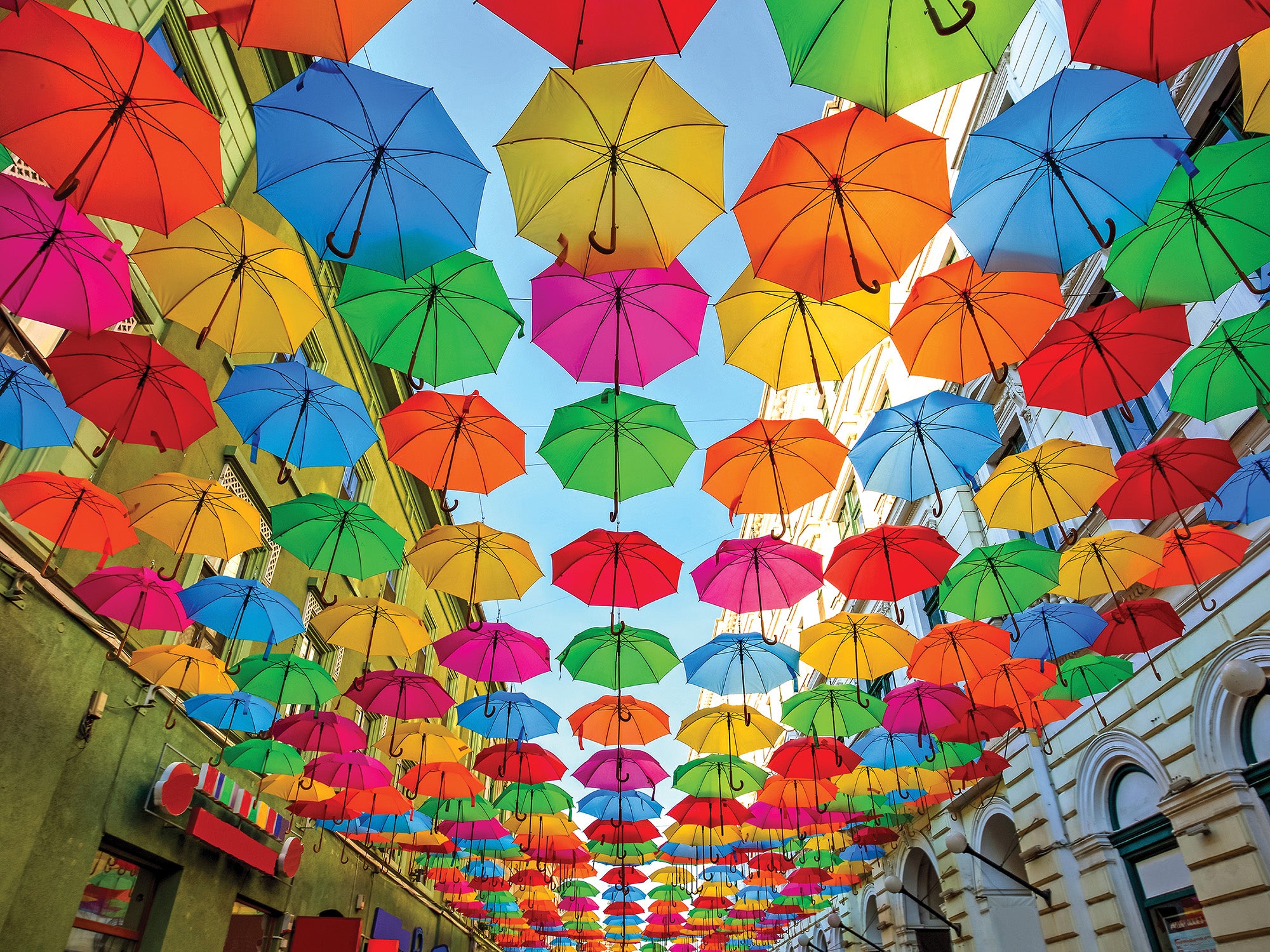Rue Umbrella (500pcs)