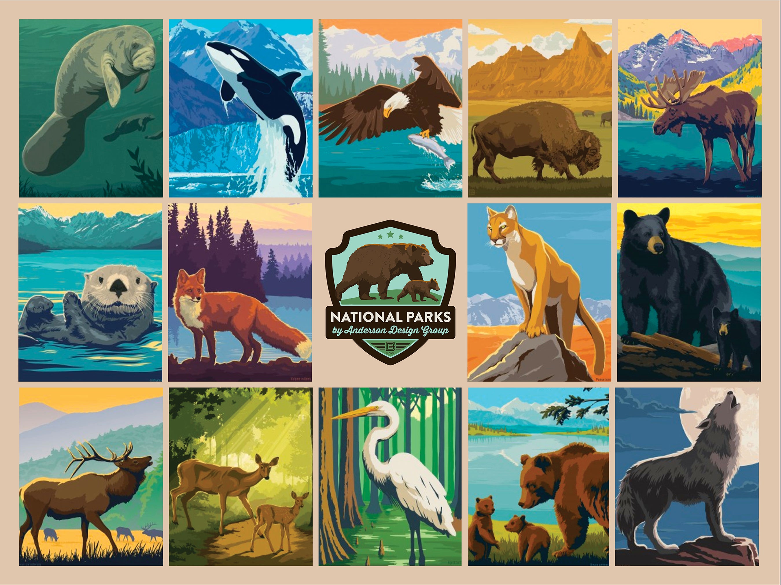 La faune des parcs nationaux (1000pcs)