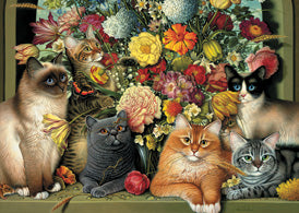 Boucat