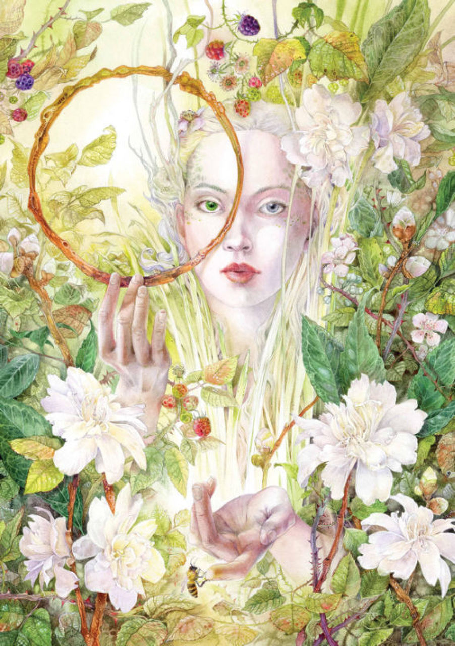 Daphnis, Stéphanie Law