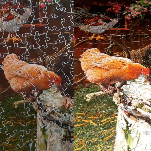 Puzzle Glue (colle a casse-tete), 5fl oz bottle