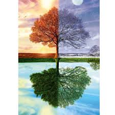 The Tree of 4 Seasons (500pcs)
