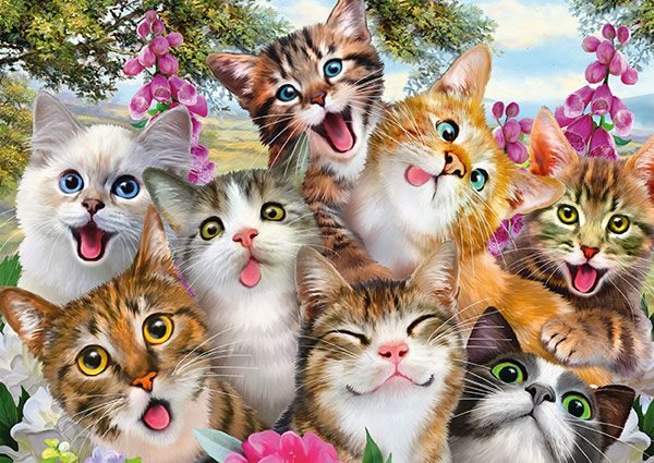Selfie de chat