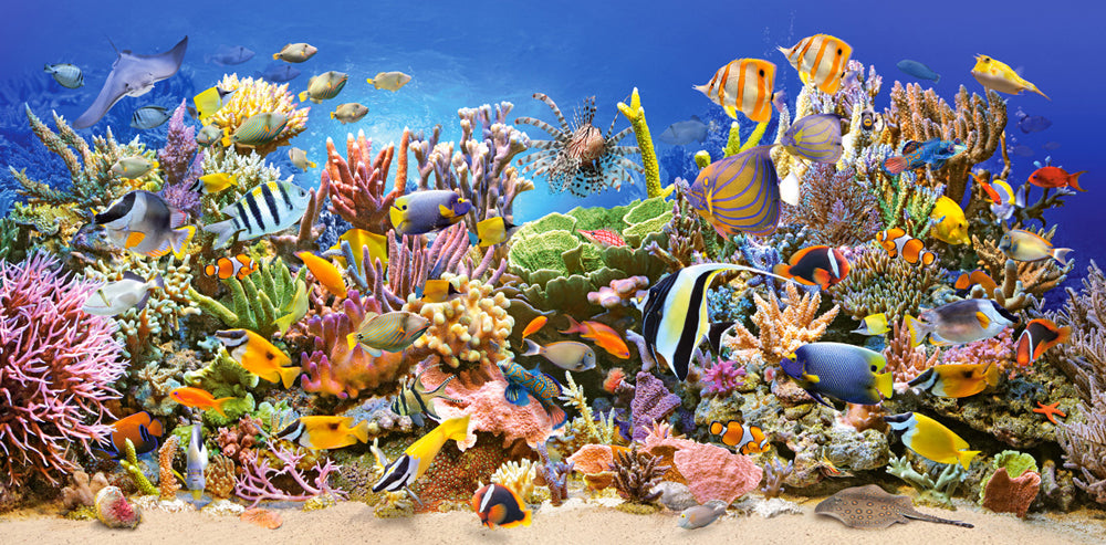 Underwater Life (4000pcs)