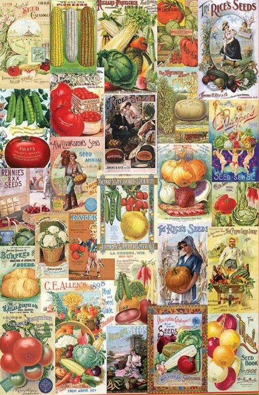 Légumes - Smithsonian Seed Catalog Collection