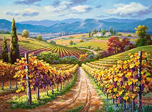 Vineyard Hill