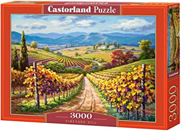 Vineyard Hill