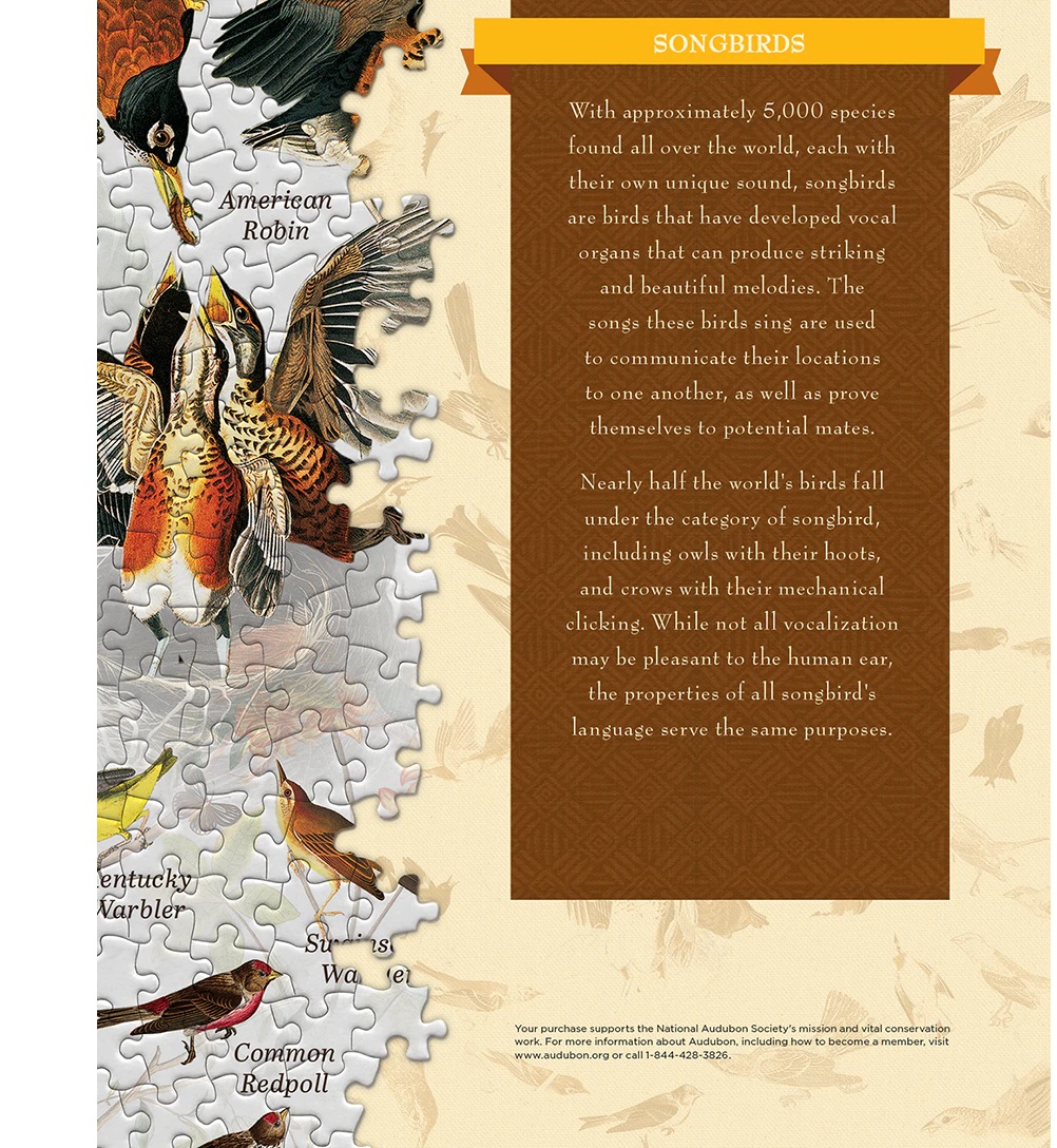 Poster Art - Audubon Songbirds