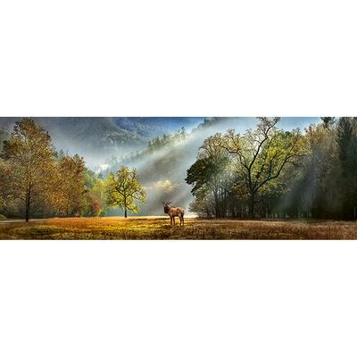 Salute du matin (panoramique) (1000pcs)