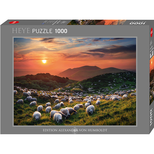 Sheep and Volcanoes, AVH (1000pcs)
