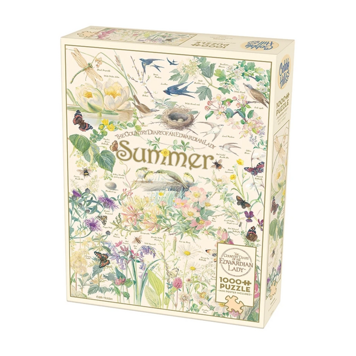 Country Diary: Summer, Edith Holden