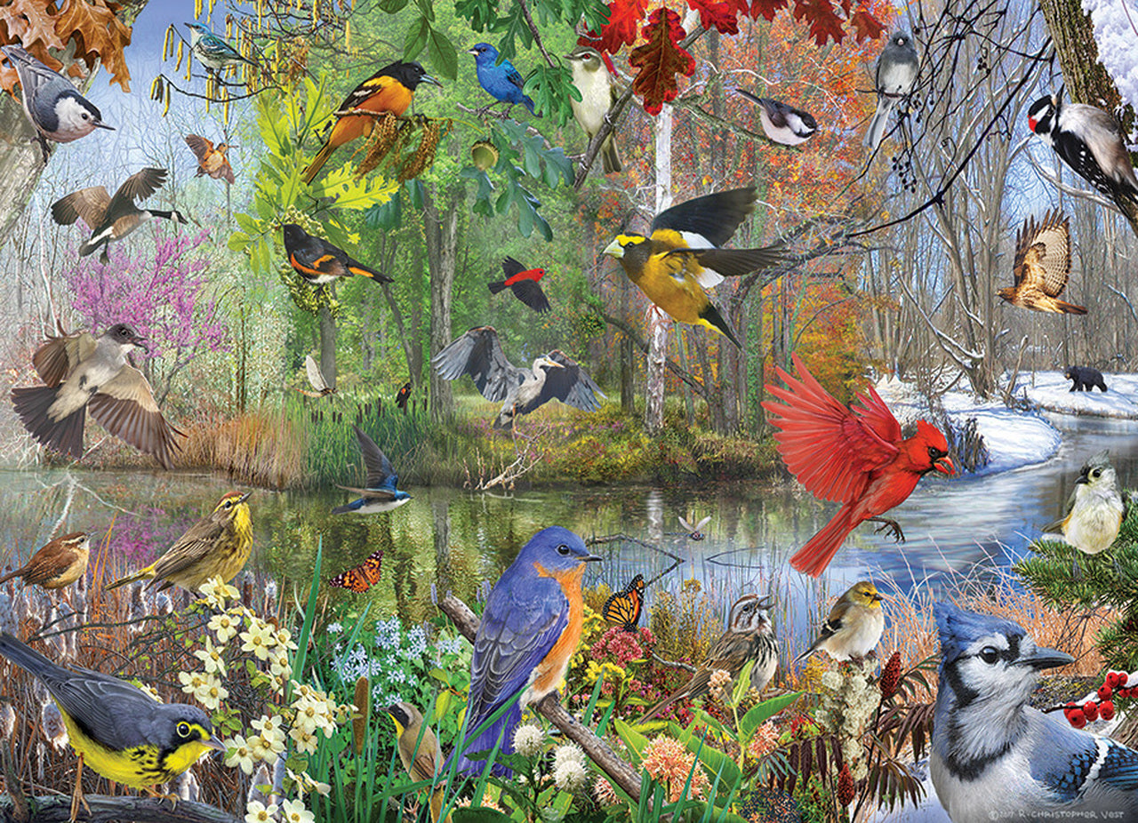 Oiseaux de la saison