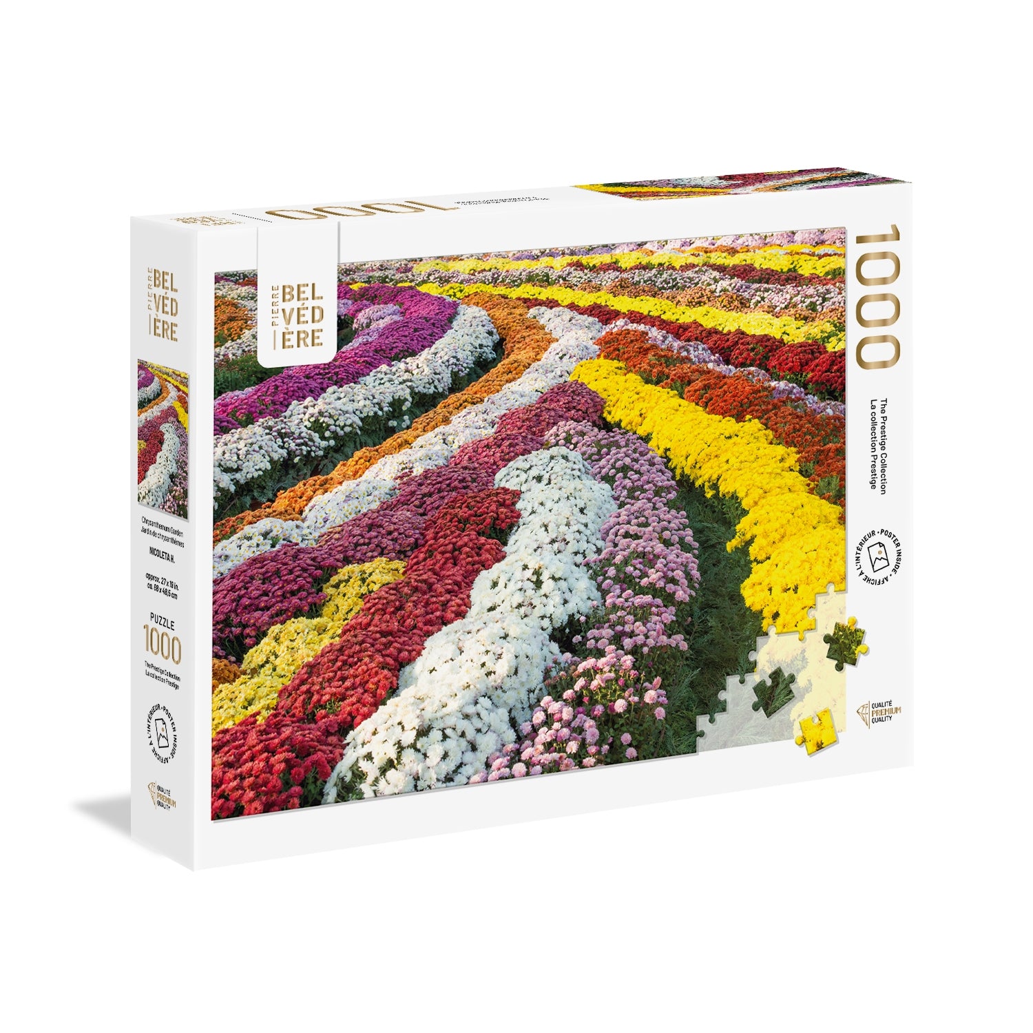 Jardin de chrysanthemum (1000pcs)