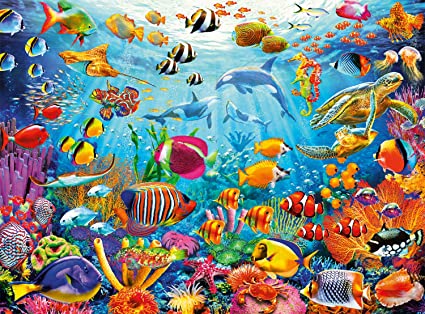 Couleur marine: heure de pointe des récifs (1000pcs)