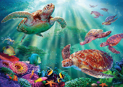Turtle Bay, Steve Sundram