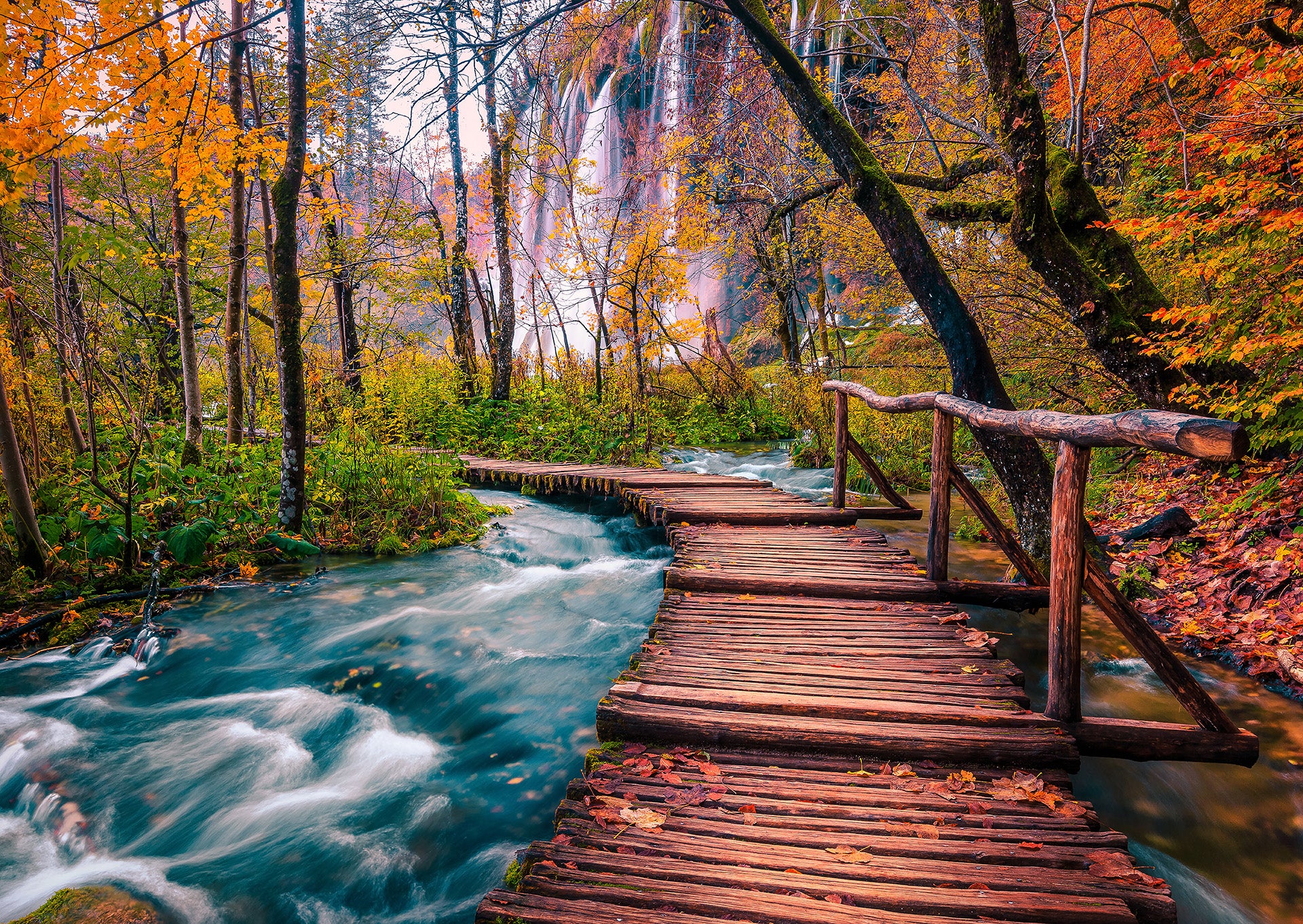 Stream de forêt à Plitvice, Croatie (1000 pc)