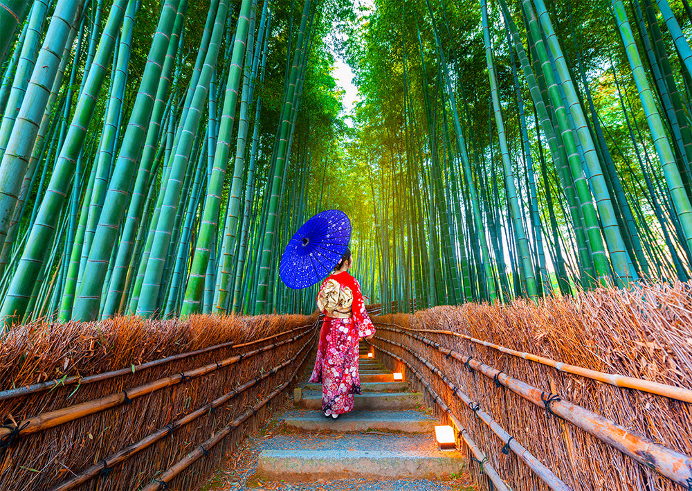 Femme asiatique dans la forêt de bambou (1000pcs)