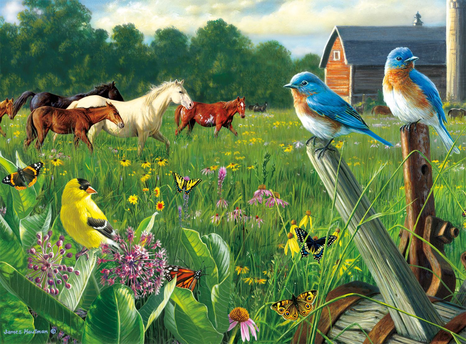 PFG Country Meadow (Usage/Used - PUZZLES FOR GOOD)
