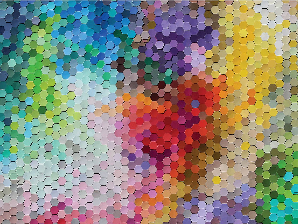 PFG Hex Appeal, Josie Lewis (1500pcs) (Usage/Used - PUZZLES FOR GOOD)