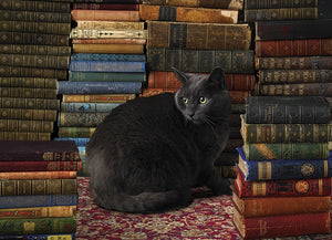 PFG Library Cat (Usage/Used - PUZZLES FOR GOOD)