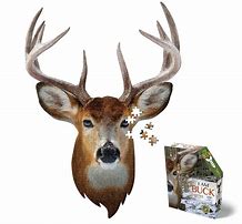 I Am Buck (300pcs)