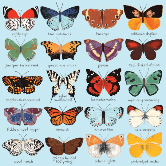 Papillons d'Amérique du Nord